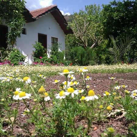 Engin Pension Cirali Exterior photo