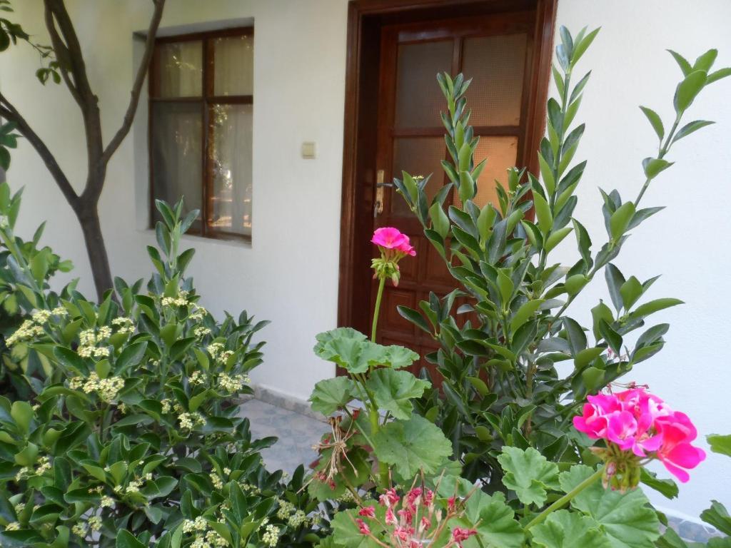 Engin Pension Cirali Room photo