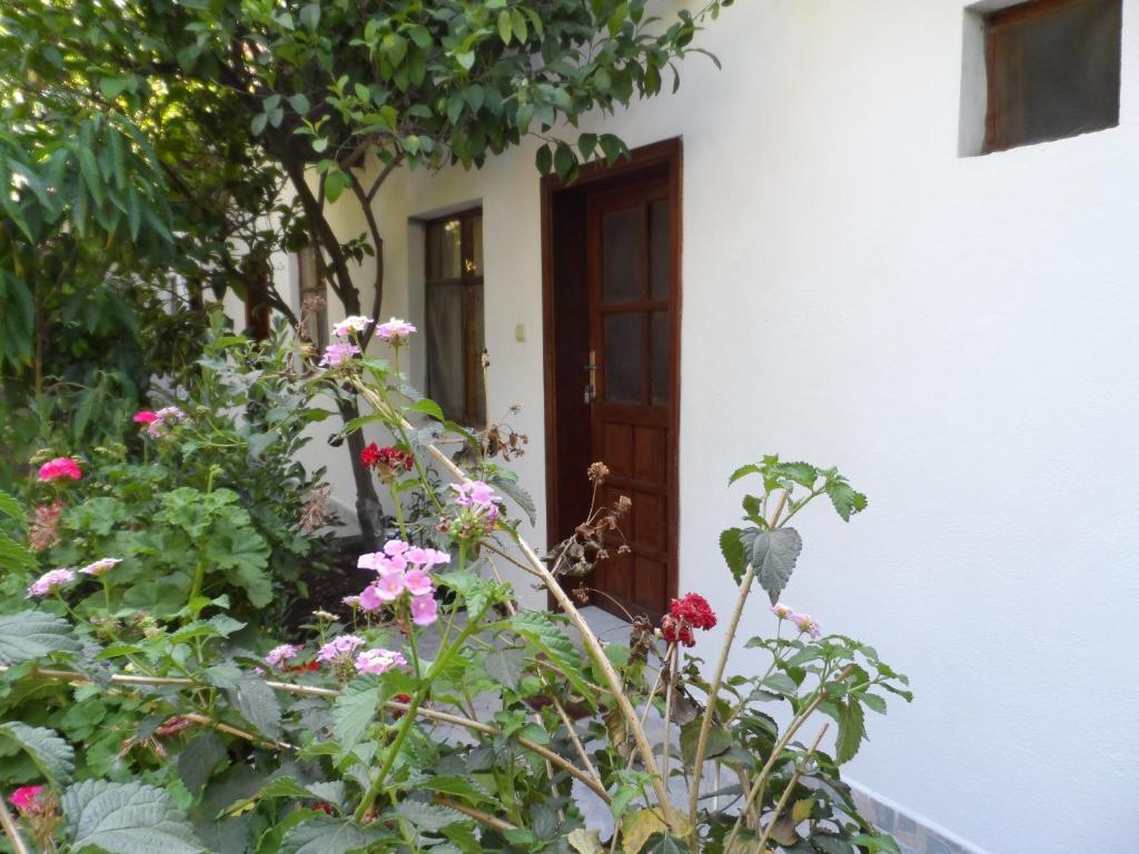 Engin Pension Cirali Exterior photo