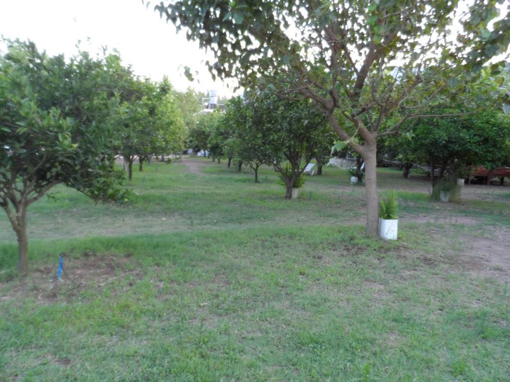 Engin Pension Cirali Exterior photo