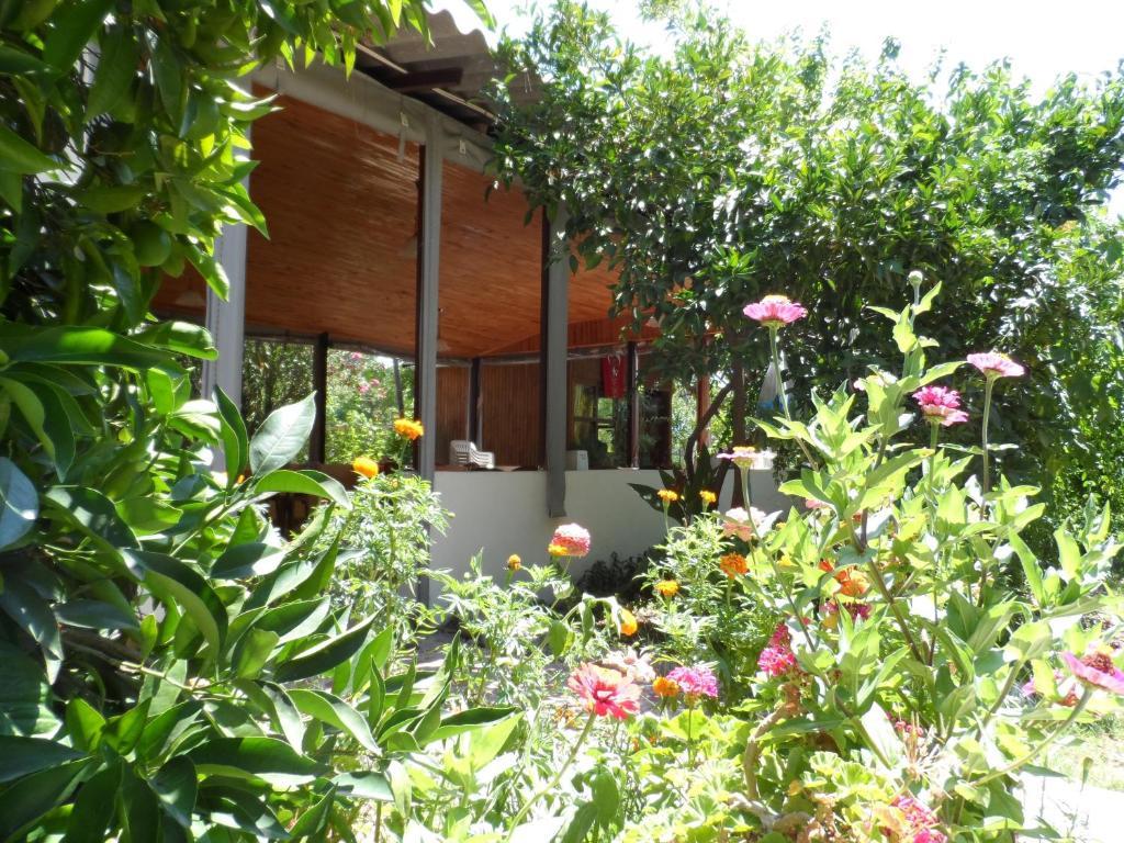 Engin Pension Cirali Exterior photo